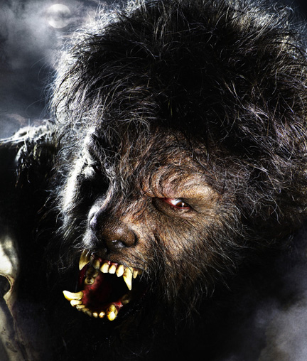 “The Wolfman” y “Percy Jackson” lucharán contra las hordas de enamorados