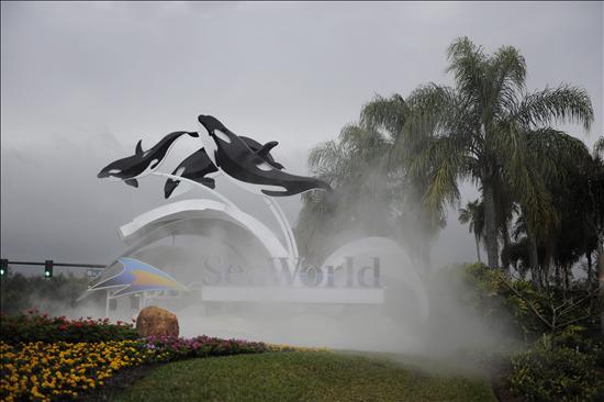SeaWorld reanuda el sábado espectáculo con ballenas orcas