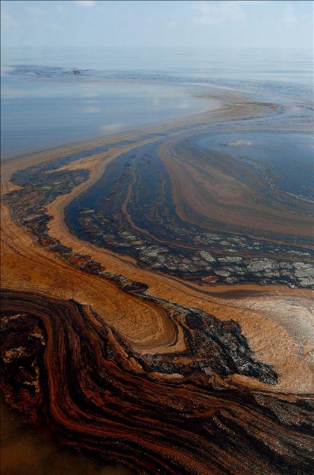 El derrame del Golfo de México, amenazante realidad para peces, pájaros y plantas de la zona