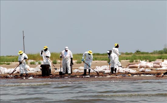 Oleadas de la “marea negra” llegan a canales de la costa noroeste de Florida