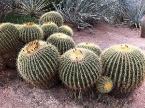 DesertBG_2