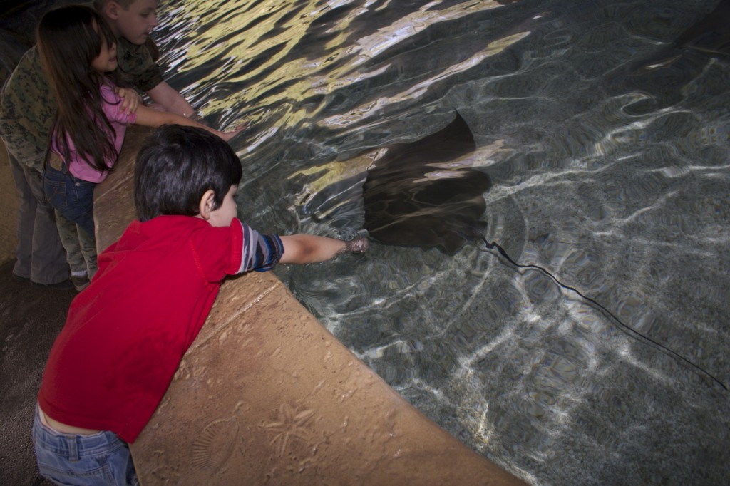 Un día primaveral en el Zoológico de Phoenix, el plan ideal