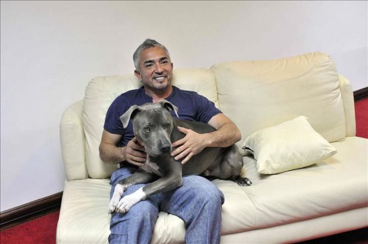 César Millán, el mexicano que conquistó al mundo encantando perros y personas