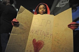 Seguidor Whitney