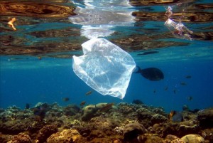 basura oceano
