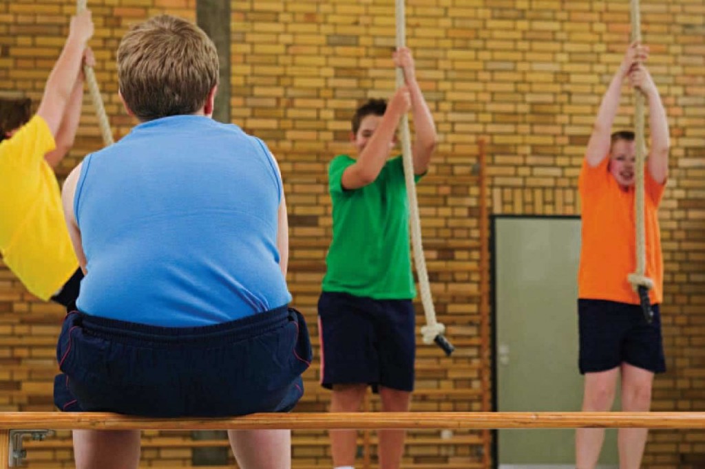 ¿Qué desató la epidemia de obesidad en el mundo?