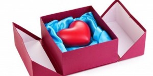 Como parte de la celebración de abril, mes nacional de la donación de vida, la organización Gift of Hope invita a la comunidad hispana a inscribirse en el registro estatal de donantes  y a discutir esta decisión en familia, permitiendo así salvar las vidas de miles de latinos que actualmente sufren alguna enfermedad crónica o terminal.