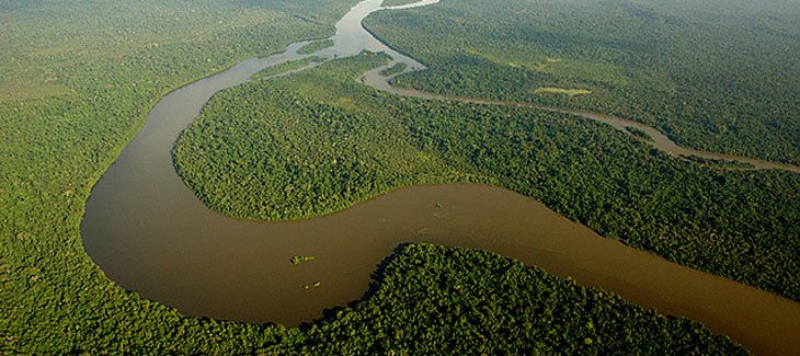 Muchas especies de animales y corales en riesgo por el cambio climático: estudio
