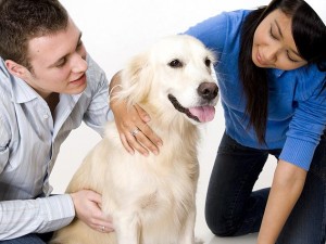 Los resultados han mostrado que la presencia de un perro estaba asociada a una presión arterial sistólica mucho menor (presión cuando se contrae el músculo del corazón) y presión arterial diastólica (presión cuando se relaja el músculo del corazón)