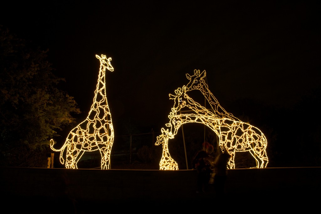 ZooLights en Phoenix Zoo, da comienzo a la temporada navideña