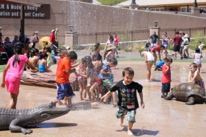 Toda la familia esta invitada a disfrutar de una inolvidable jornada para celebrar El Día del Niño, el próximo domingo 26 de abril en el lugar favorito de todos: El Phoenix Zoo.