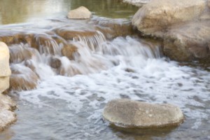 "La gran riqueza de la espiritualidad cristiana, generada por veinte siglos de experiencias personales y comunitarias, ofrece un bello aporte al intento de renovar la humanidad. Quiero proponer a los cristianos algunas líneas de espiritualidad ecológica que nacen de las convicciones de nuestra fe, porque lo que el Evangelio nos enseña tiene consecuencias en nuestra forma de pensar, sentir y vivir. -Papa Francisco, Encíclica Laudato Si'
