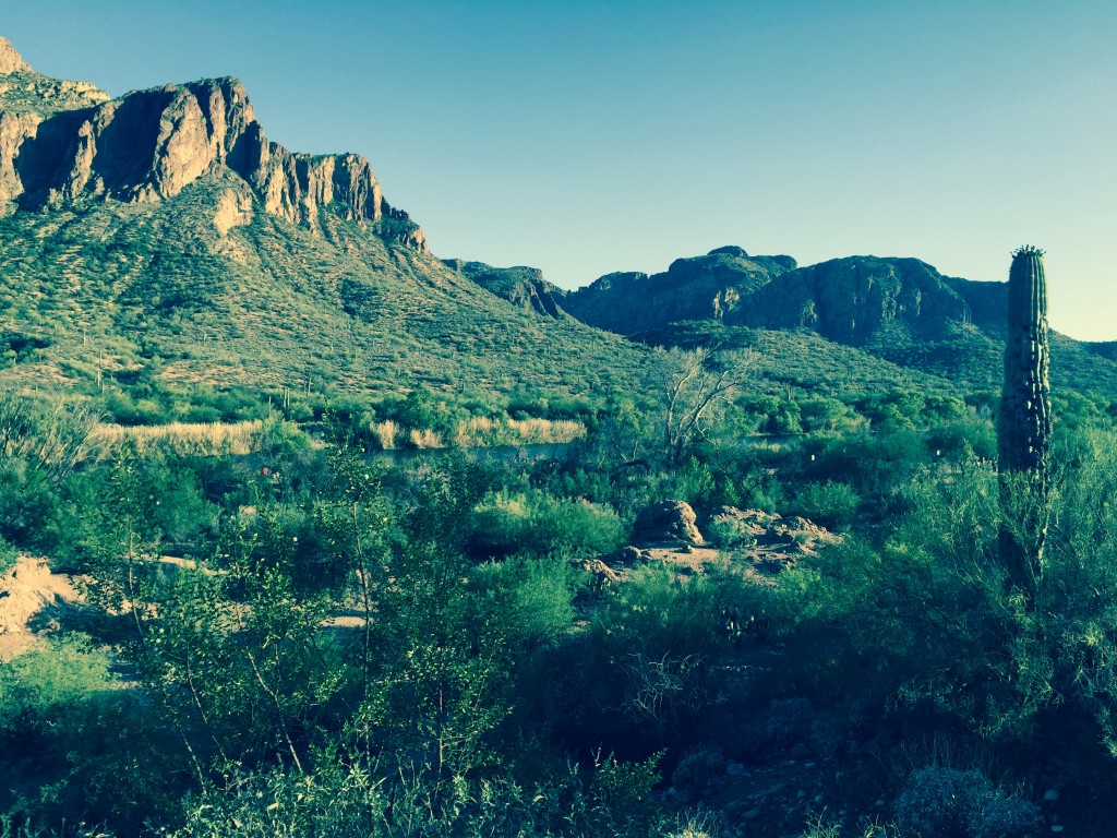 El exuberante ecosistema de Tonto National Forest