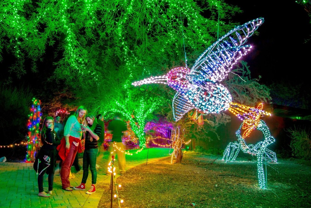 Magia, luz y tradición: ¡Comenzó Zoolights!