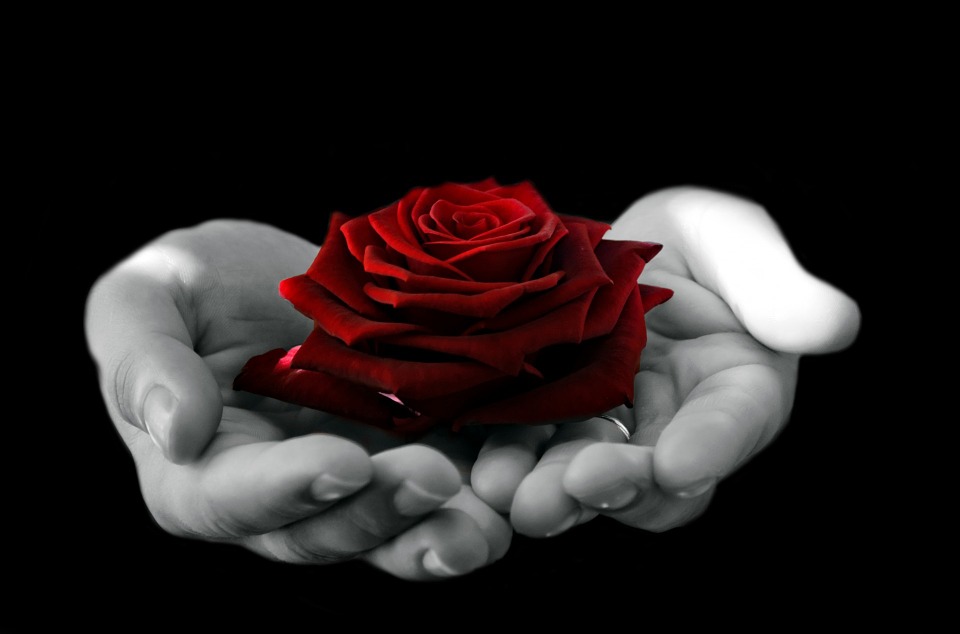 Rosas y espinas: en este Día de San Valentín dígale no al abuso