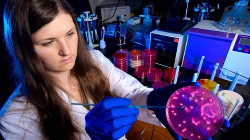 Las superbacterias amenazan a los pacientes en los hospitales