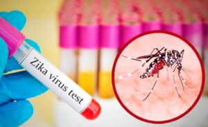 El tipo de mosquitos que pueden portar el virus, Aedes aegypti, ha estado en el condado de Maricopa durante años, pero de acuerdo con el Departamento de Servicios de Salud de Arizona, no hay evidencia de transmisión de Zika dentro de Arizona