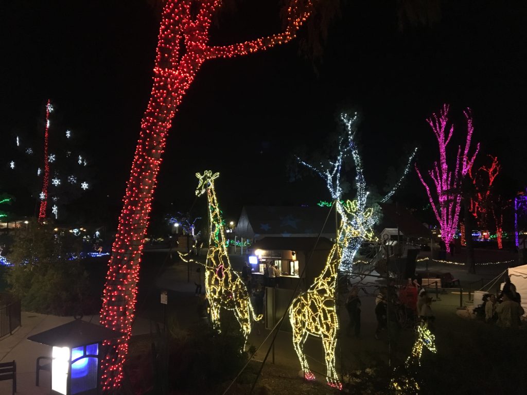 Como ya es tradición ZooLights engalana con miles de destellos las noches de Navidad en Phoenix Zoo