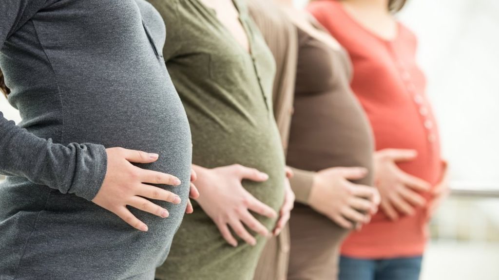 Se reporta la presencia del virus Zika en mujeres embarazadas en 44 estados de EE.UU.