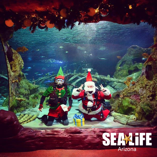 EVENTO LOCAL: SEA LIFE Arizona te invita a una celebración única de la navidad debajo del agua