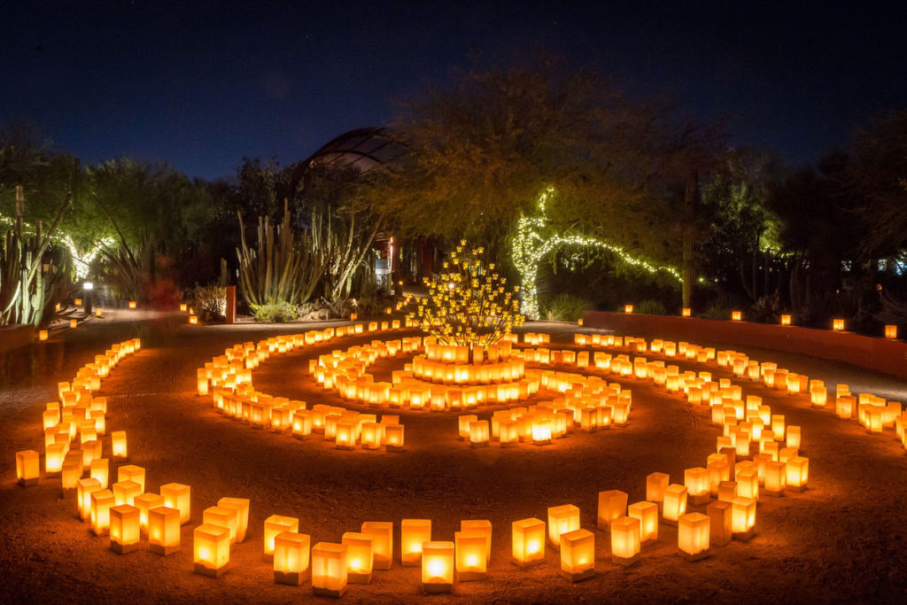 Miles de luminarias encendidas adornan las noches de diciembre en Desert Botanical Garden