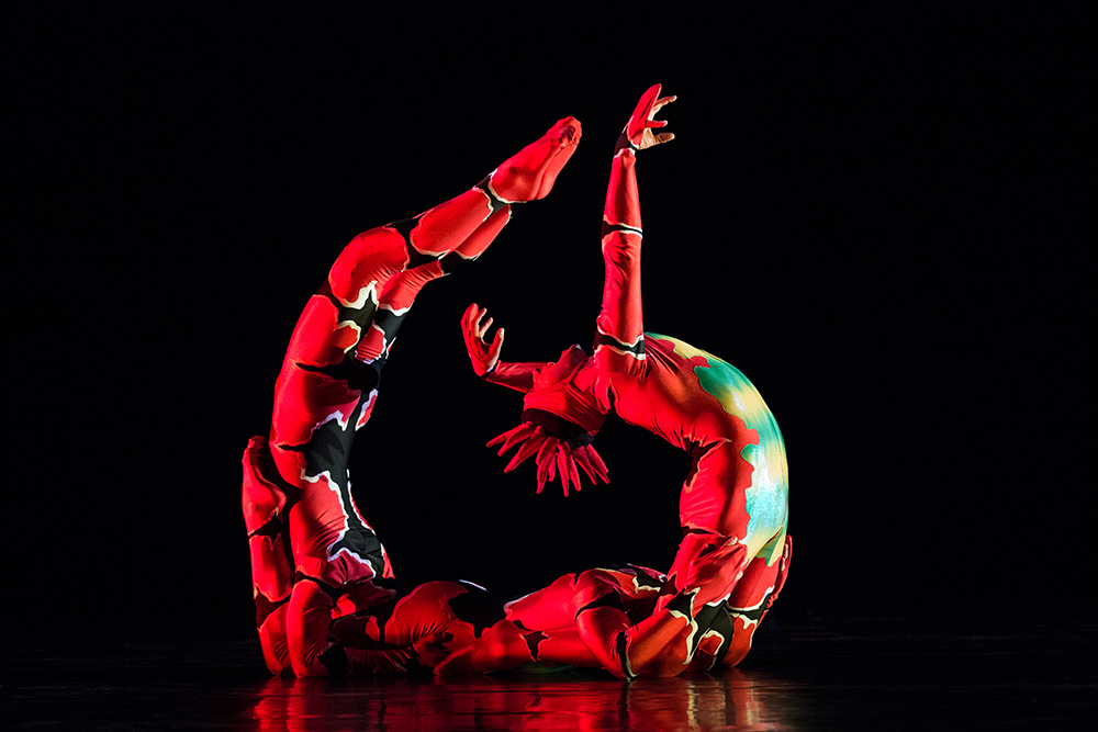 EVENTO LOCAL: Ballet Arizona y Desert Botanical Garden presentan “Momix’s Opus Cactus”