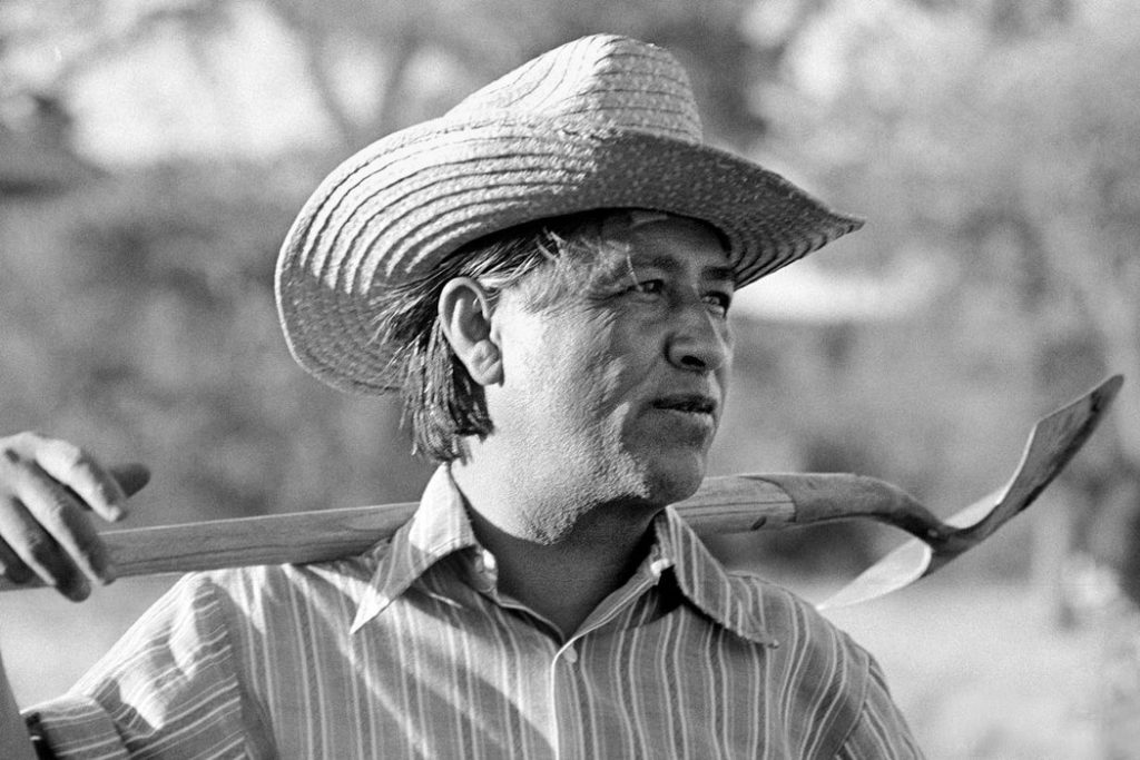 REPORTAJE ESPECIAL/MEDIO AMBIENTE: Cesar Chávez también fue un gran defensor de la naturaleza