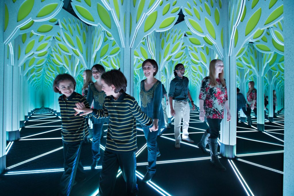 RECOMENDADO LOCAL : “A Mirror Maze: Numbers in Nature”, un mundo más allá de los espejos, hasta el 4 de septiembre en Arizona Science Center