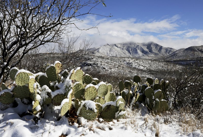 Ola de frío azota Arizona y otros estados del Oeste de los Estados Unidos
