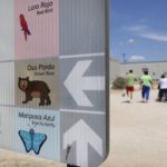 Denuncian que EEUU no trata adecuadamente a niño migrante